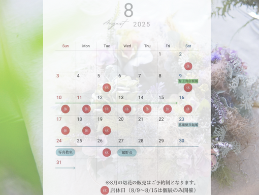 8月のスケジュール公開。村上さんの個展と見藤さんの個展が開催予定です。（※お盆休みもありますよ）
