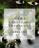 2026/05/03・05/04　『苔玉教室』