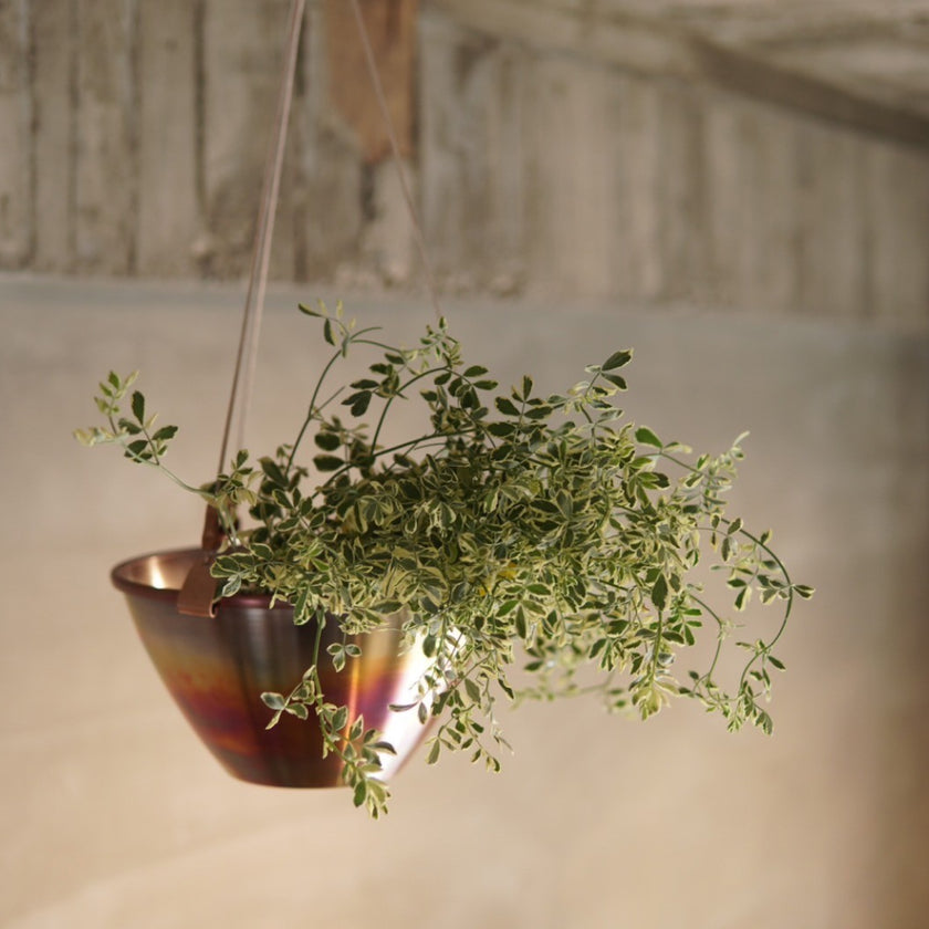 copper pot　type#9 〈copper〉